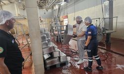 Mevzuata aykırı ürünleri satıyorlardı