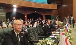 İİT üyelerine tam üyelik çağrısı