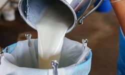 SÜTEK 16-31 Mayıs dönemi süt bedellerinin ödemesini yaptı
