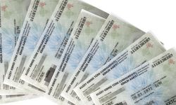 6 ayda 445 yeni vatandaş