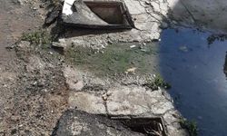 Salgın hastalığa davetiye