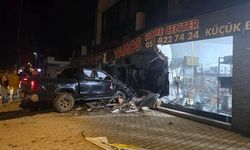 Araç, mağazalara daldı