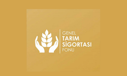 Doğrudan Gelir Desteği ve Gübre Desteği I. Avans ödemeleri yapıldı