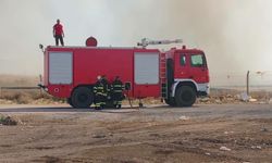 İtfaiye 3-9 Ağustos arasında 10 yangına müdahalede bulundu