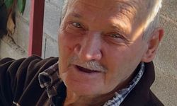 Hayata tutunamadı