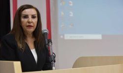 “Karma oyun kaldırılması Anayasa’ya aykırı”