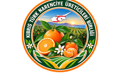 K.T Narenciye Üreticileri Birliği: "Ödemelerle ilgili çok geç kalınmıştır."