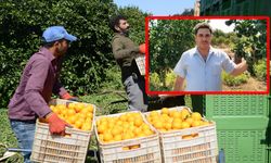 Üreticiler dar boğazda