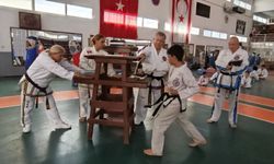 Taekwondocular Zafer Bayramı’nda yarıştı