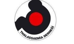 Kuzey Kıbrıs Thalassaemia Derneği yaz kampı düzenliyor