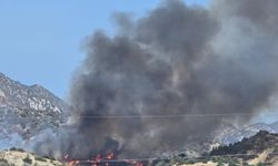 Yamaçköy-Tirmen arasında ormanlık alanda büyük yangın
