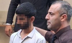 Tabanca, selvi ağacının altından çıktı