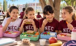 Sağlıklı bir beslenme çantasında neler olmalı?
