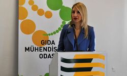 Gıda Mühendisleri Odası kaçak domates ve salatalık konusunda açıklama yapılmasını istedi