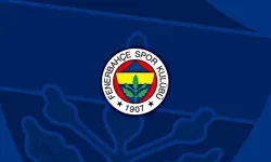 Fenerbahçe'ye 3 dönem transfer yasağı