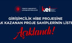 Türkiye Cumhuriyeti kaynaklı girişimcilik hibe programı sonuçları açıklandı