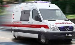 Girne’de kediyi kurtarmaya çalışırken canından oluyordu