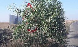 Sürücüye bulmaca çözdüren uyarı levhası