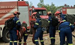 Yunanistan’dan Güney Kıbrıs’a 21 itfaiyeci gönderildi