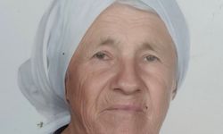 Aracın çarptığı kadın kurtarılamadı