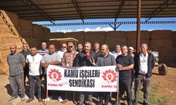 Hür-İş, Ercan Çiftliği’ndeki personel eksikliğine tepki gösterdi