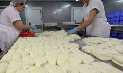 Güneyde hellimde yüzde 50 keçi-koyun sütü hedefine 2029 temmuz ayına kadar ulaşılması zor