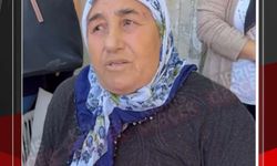 “Bile bile yaptılar”