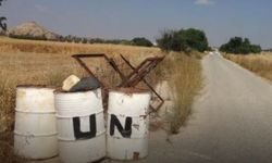 “Avlona'da" ara bölgede ölü inek tespit edildi