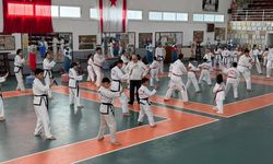 Taekwondocular Kaysu anısına yarıştı