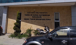 Tarım Bakanlığı'ndan sebze üreticilerine fide desteği