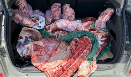 Köprülü’de bir kamyonette 195 kilo kaçak et bulundu