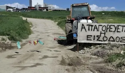 Güney'de şap hastalığı yayılmaya devam ediyor