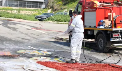 Larnaka’ya bağlı bir köyde yeni şap vakası
