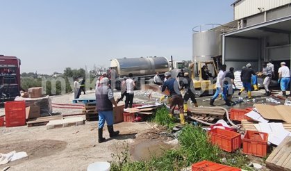 Süt fabrikasında yangın