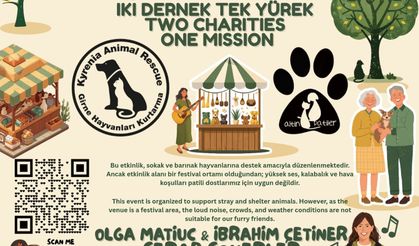 “PawFest” 21 Haziran'da Girne'de yapılıyor