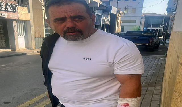 Başıboş köpekler hem hayvanlara hem hayvancıya saldırdı