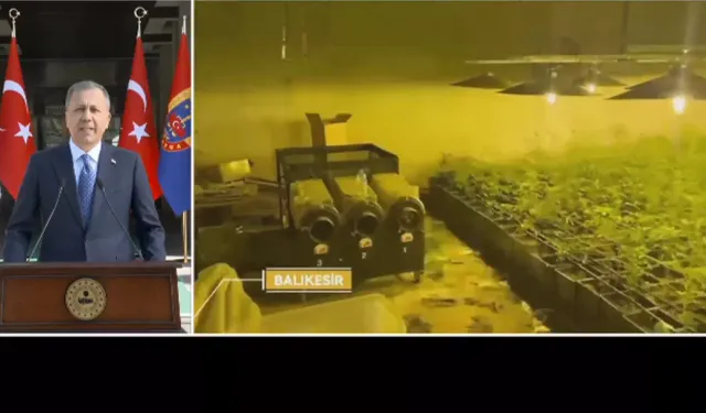 Suç örgütlerine dev operasyon
