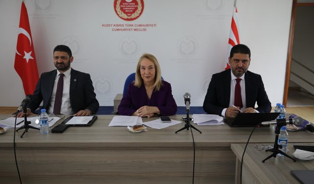“Sosyal Hizmetler Dairesi Yasa Tasarısı” komitede görüşülüyor