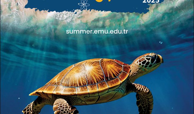 DAÜ’de, “Uluslararası Yaz Okulu” düzenlenecek