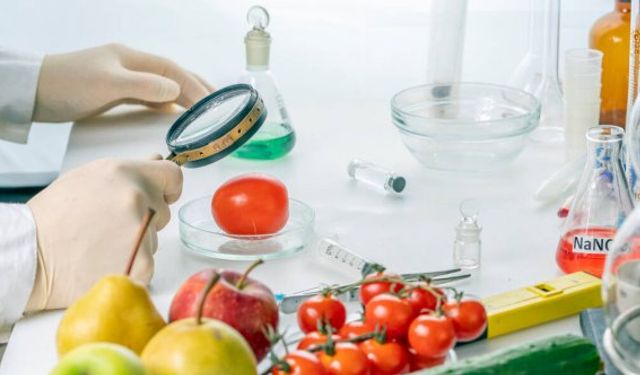 Haftalık gıda denetim sonuçları