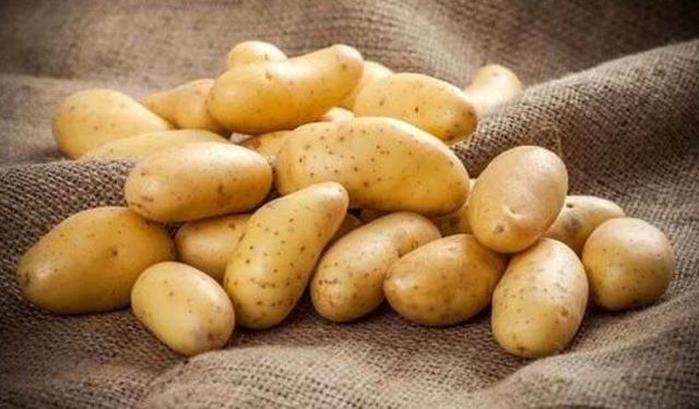 İlkbahar patates beyan alımlarının süresi Pazartesi gününe kadar uzatıldı
