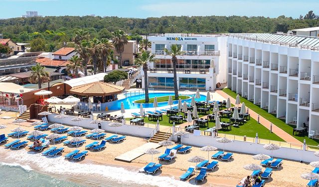 Avrupalı turistlerin Mimoza ilgisi