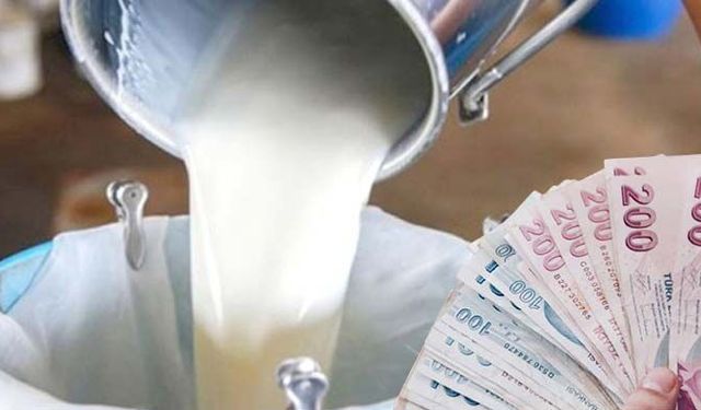 Çiğ süt alım fiyatlarına yarından itibaren yüzde 12,17 artış…