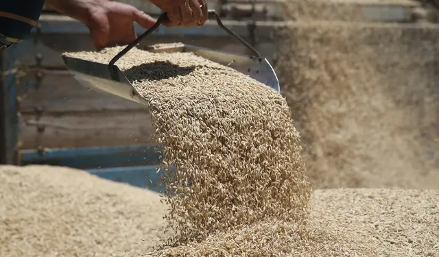 4 bin 500 ton arpanın yarın sabah Gazimağusa Limanı’na ulaşması bekleniyor