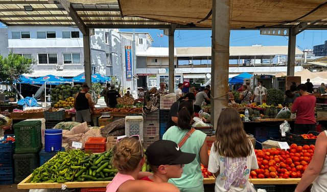 Hal Yasası artık tam anlamıyla uygulanmalı