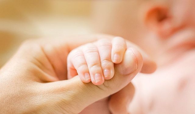 KTTB Başkanı Dalkan: “Prematüre doğumlar artıyor, sağlık sistemi adaya özgü bir yapıya kavuşturulmalı”