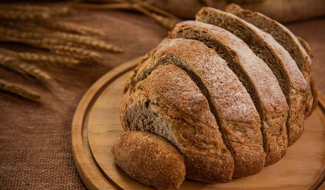 Modern buğday GDO’lu değil, bilimsel ıslah ürünü