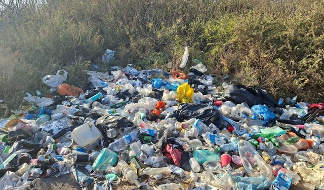 “Orman alanı mı yoksa çöplük alanı mı anlamadık”