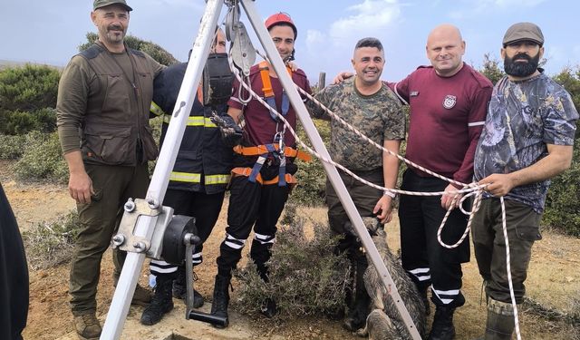 Kuyuya düşen av köpeği itfaiye ekipleri tarafından kurtarıldı
