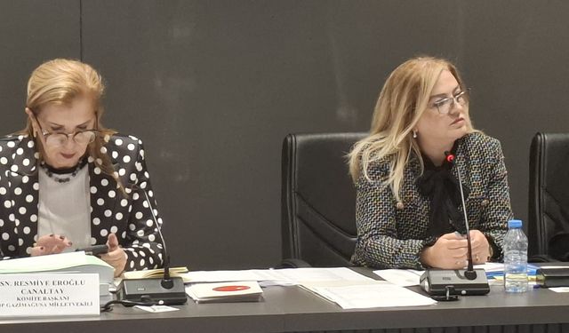 Ombudsman bütçesi oy birliğiyle kabul edild